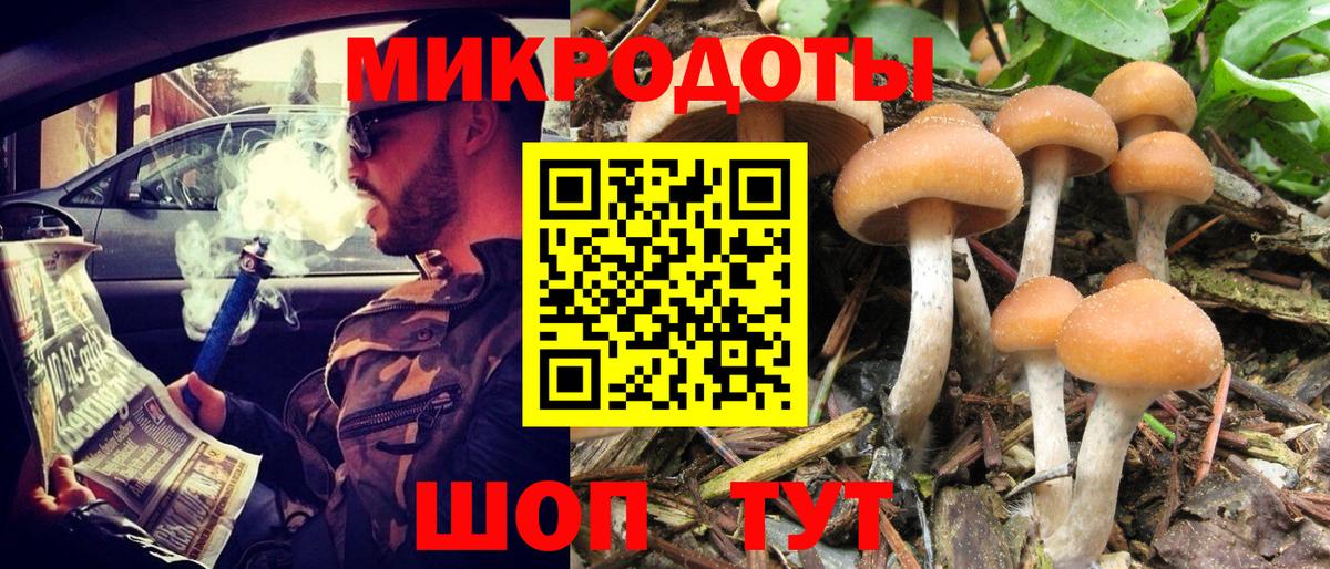 Котельники  Галлюциногенные грибы Magic Shrooms  Вход с VPN 